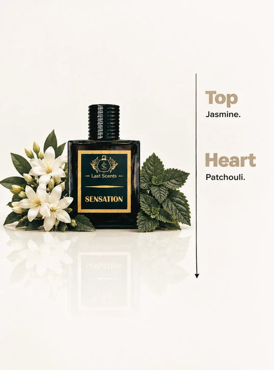 Sensation - Last Scents