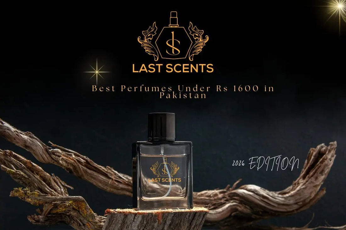 Best Perfumes Under Rs 1600 in Pakistan - Last Scents