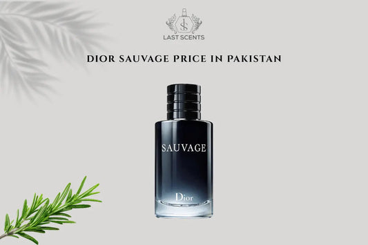 Dior Sauvage Price in Pakistan - Last Scents