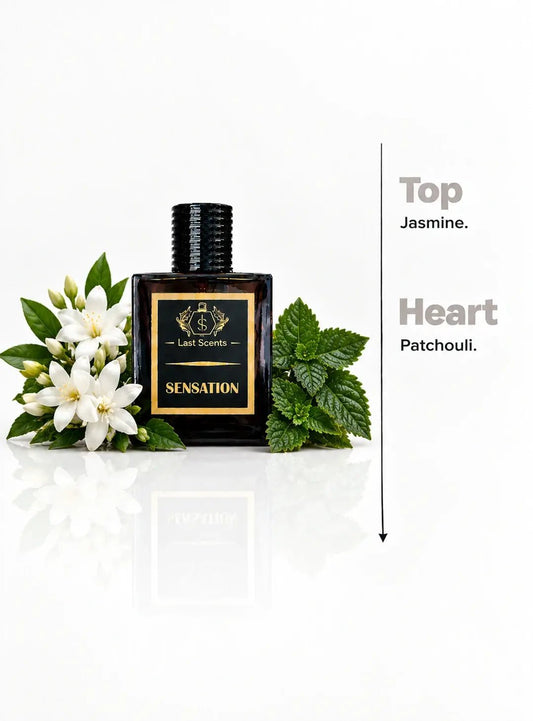 Sensation - Last Scents