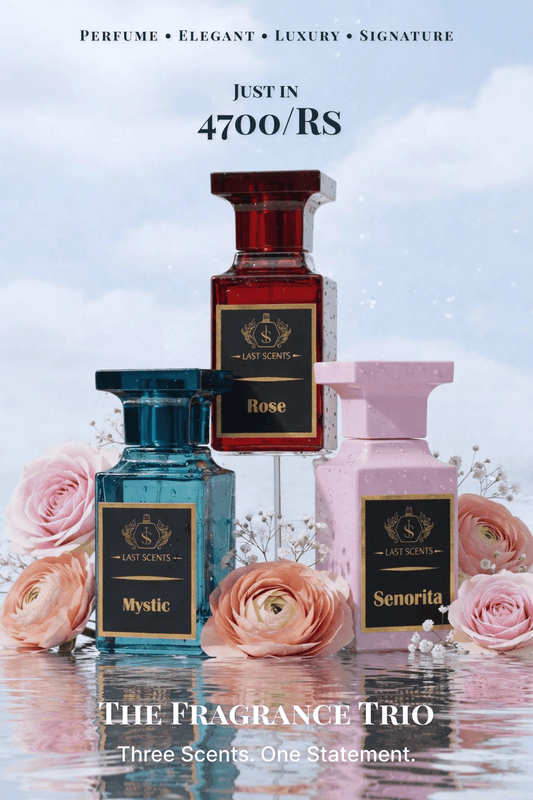 Top Selling Perfume Bundle Women - Last Scents